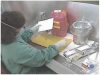 Fig 1. The use of Personal Protective Equipment (PPE) for cleaning. Photo courtesy of the South Dakota Department of Health.